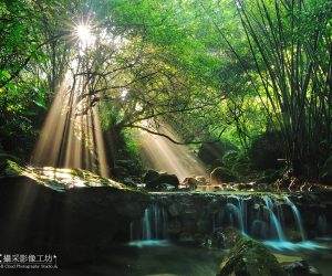 Taichung international exhibition of photography 2,Taiwan Landscape:PSTC-HM 優異獎*1